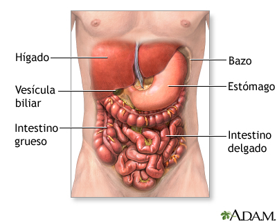 Exploración quirúrgica del abdomen - serie