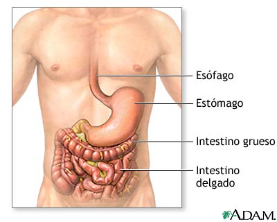 Enfermedad inflamatoria intestinal - serie