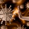 Guía para el nuevo coronavirus: a quiénes afecta más, síntomas y tratamiento 