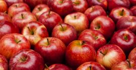 Por qué es bueno comer una manzana al día