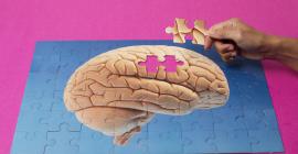 Alzheimer: aprueban primera droga para frenar el deterioro cerebral