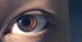 Ojos y visión ¿cuánto sabes sobre los mitos y problemas de la vista?