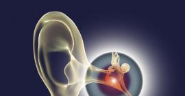 Otitis, cuando el oído genera un dolor insoportable