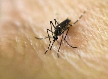 El virus del Zika todavía es una amenaza