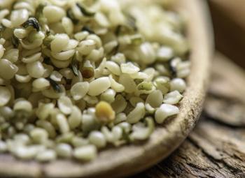 Por qué es bueno comer semillas de cáñamo 