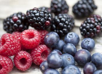 ¿Cuáles son los mejores alimentos con antioxidantes?