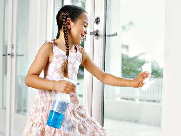 Las sustancias tóxicas en tu hogar - Para limpiar ventanas (alternativa saludable) 