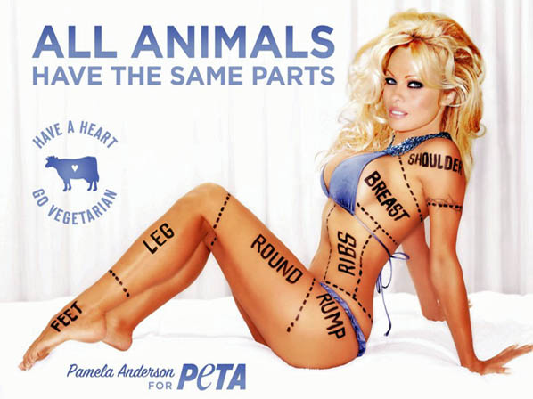 16 famosos que se rehúsan a comer carne - 4. Pamela Anderson