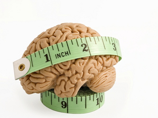 Los secretos que esconde tu mente - ¿El tamaño del cerebro es un signo de mayor inteligencia?