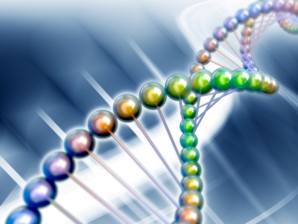 Los fantásticos secretos del ADN - ¿Qué es el ADN?