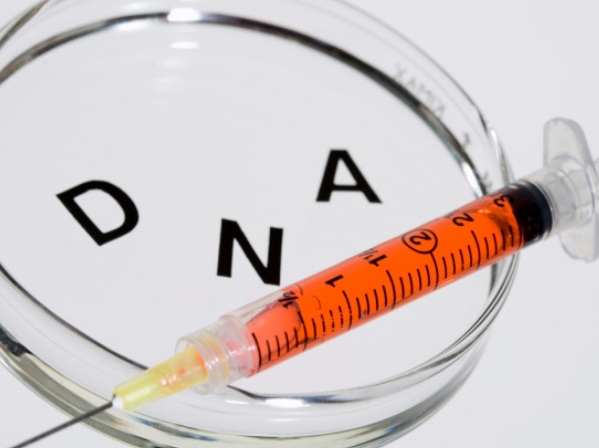 Los fantásticos secretos del ADN - El ADN y el cáncer