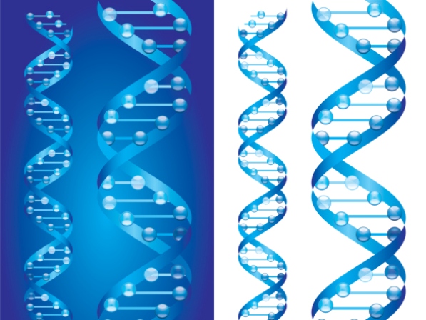 Los fantásticos secretos del ADN - Tiene millones de letras