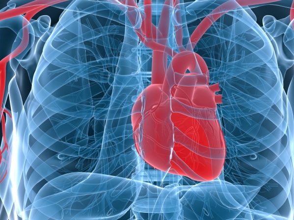 Las 10 enfermedades cardíacas más comunes - 7: Insuficiencia o falla cardíaca