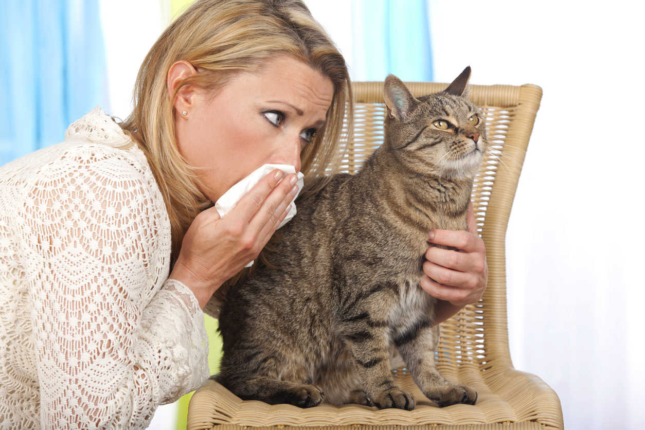 14 mitos comunes sobre las alergias - Mito #4: Las mascotas producen alergias