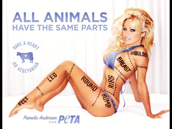 Pamela Anderson: la ex chica Baywatch todavía da que hablar - No al maltrato a los animales