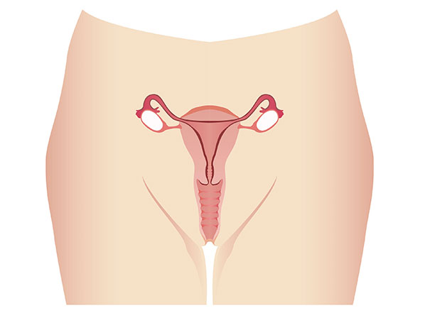 Las cirugías cosméticas más íntimas - Vaginoplastía: te da más placer sexual 