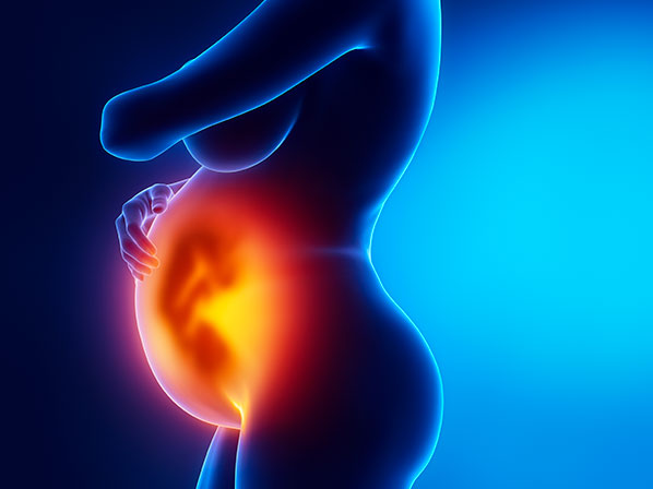 Los tratamientos estéticos más excéntricos - Beneficios de la placenta