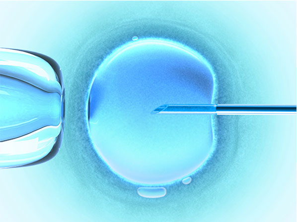 Famosas que congelaron a sus futuros hijos - ¿Qué es una fecundación in vitro?