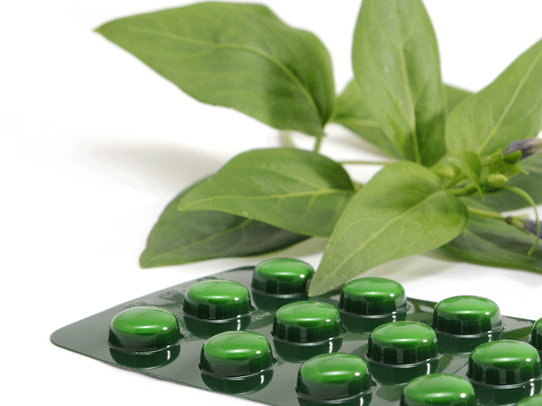 14 mágicas propiedades del té verde  - ¿En taza o en cápsulas?