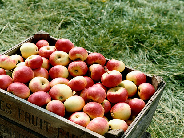 Las frutas y verduras con más contaminantes - 1: Manzanas 