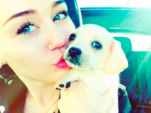 Mascotas y famosos: ¿una relación saludable? - Miley Cirus y su “nuevo amor”