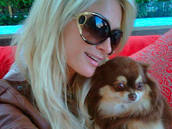 Mascotas y famosos: ¿una relación saludable? - Paris Hilton y su zoológico en casa