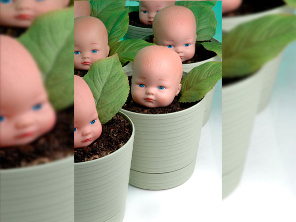 A un paso de los bebés clonados - En alerta la investigación