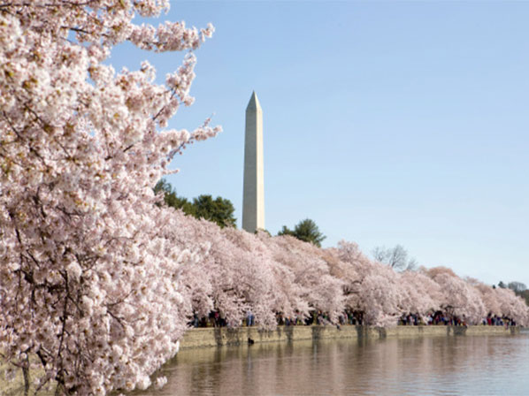 Las 5 ciudades más saludables de EE.UU. - 2: Lo mejor de Washington, DC