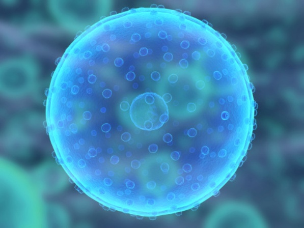 8 avances médicos asombrosos con células madre  - ¿Qué son las células madre?