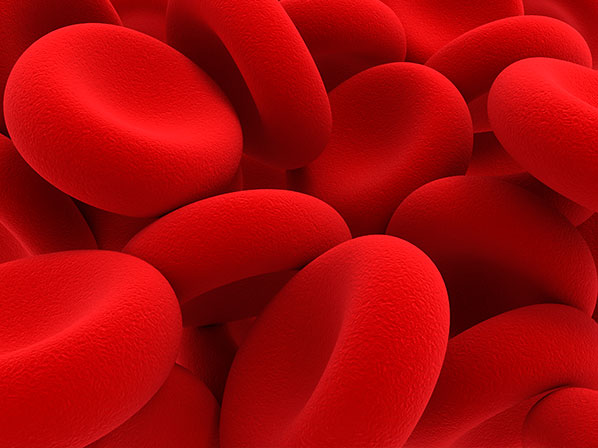 Los anémicos de la farándula - ¿A qué se debe la anemia?