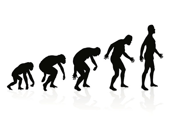 ¿Por qué los hombres mueren antes que las mujeres? - Darwin y la evolución del hombre