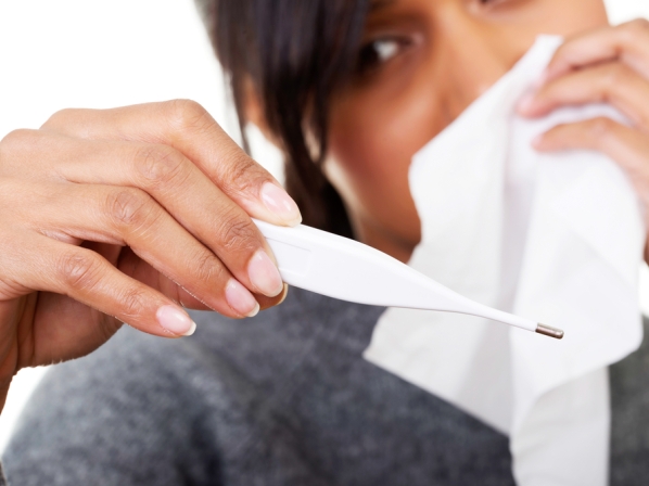 Nuevos avances contra la gripe  - ¿Qué es la gripe?