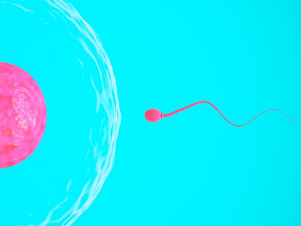 Infertilidad: que nada te impida ser mamá - Quiénes donan sus óvulos