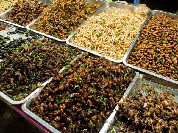 10 alimentos que cambiarán el mundo - 1. Insectos