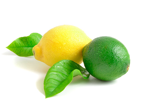 Lima vs limón, ¿cuál es mejor? - Cáscaras nobles