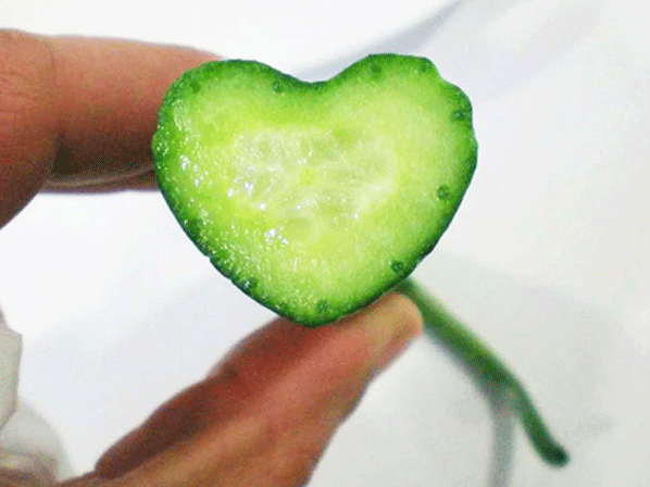 Ideas creativas para la cena de San Valentín - Festejo verde 