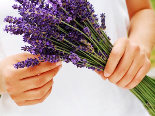 10. Lavanda como calmante