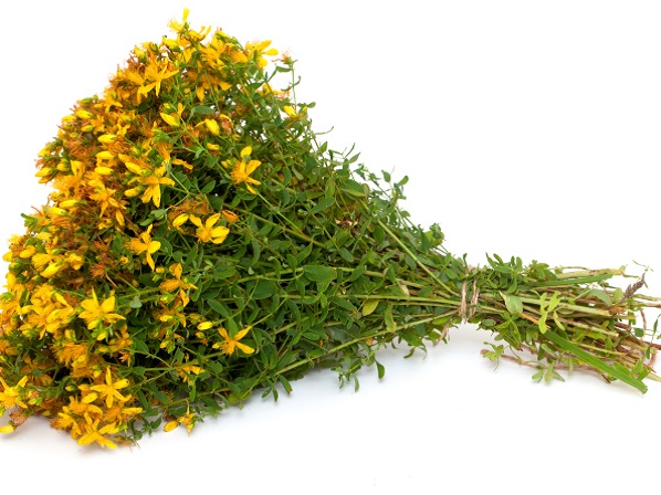 Remedios naturales para tratar la depresión - La hierba de San Juan