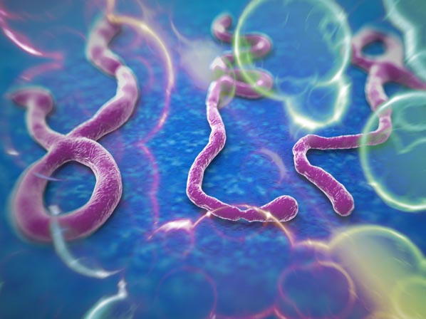 Ébola: el virus más letal ataca de nuevo - Ejército invisible