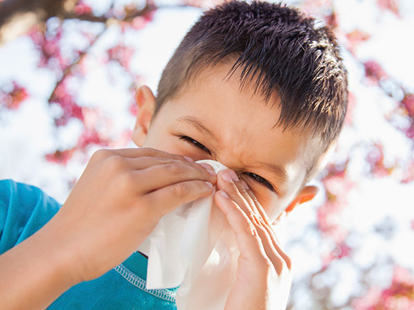 Las 10 peores ciudades para las alergias de la primavera - Se puede prevenir