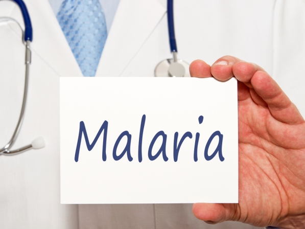 Enfermedades que transmiten los insectos - 3. Malaria, terrible flagelo