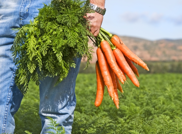 10 beneficios de la  zanahoria que te sorprenderán - 8. Disminuye el riesgo de cáncer 