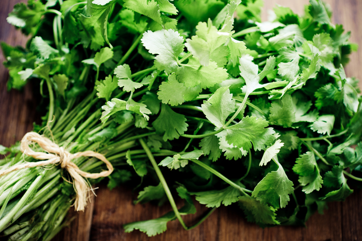 Por qué es bueno para la salud consumir cilantro - 