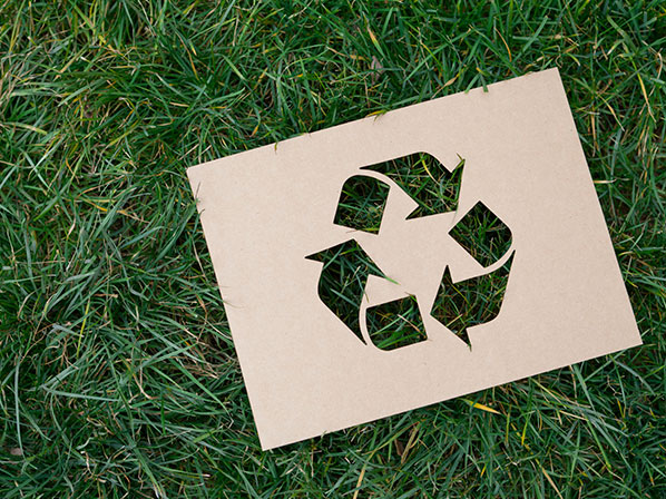 Famosos preocupados por el ambiente - La importancia de reciclar