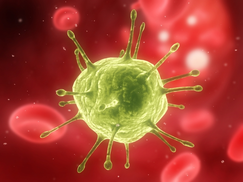 El 70% de los adultos está infectado con VPH - ¿Qué es el VPH? 