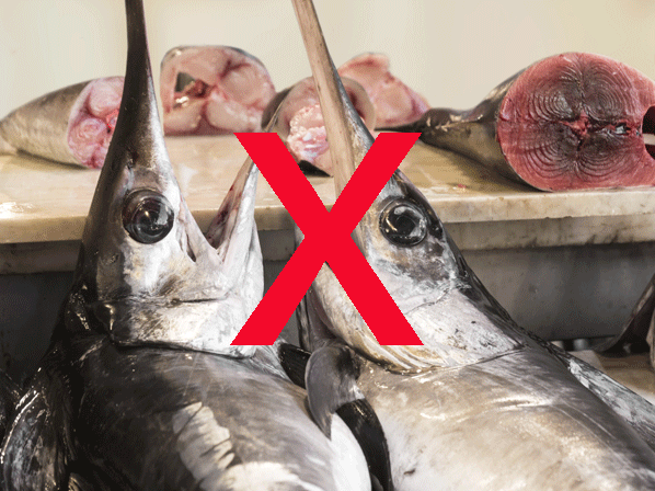 Guía para comer pescado: qué si y qué no - 5. Evitar los más altos en mercurio 