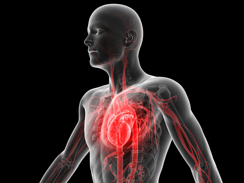 Pruebas médicas que todo futbolista necesita - Cardiovascular