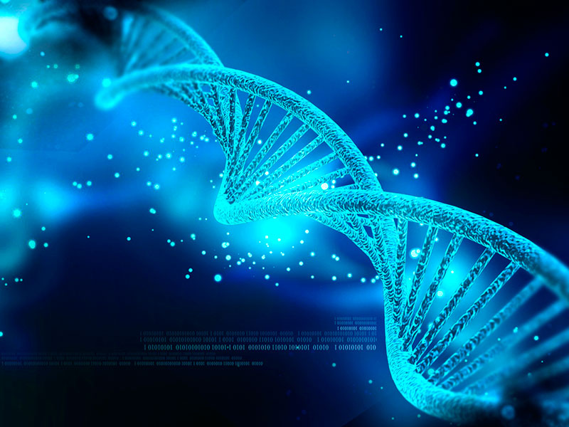 Famosos duplicados  - ¿Qué es el ADN?