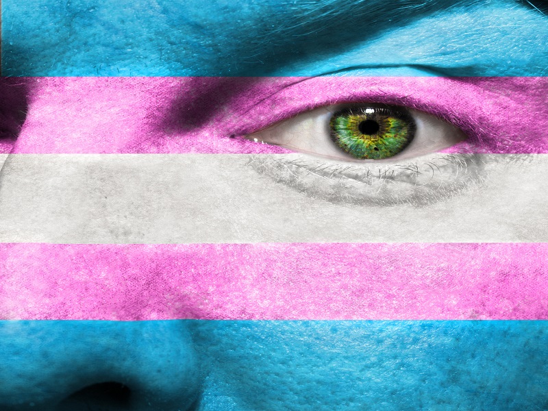 Transgénero: niños en cuerpo de otro sexo - ¿Qué dicen los psicoanalistas?