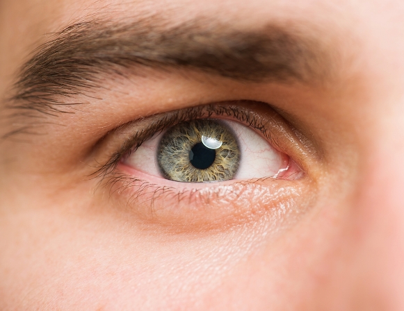 Niño ciego puede ver gracias a ojo biónico - Retinitis pigmentaria